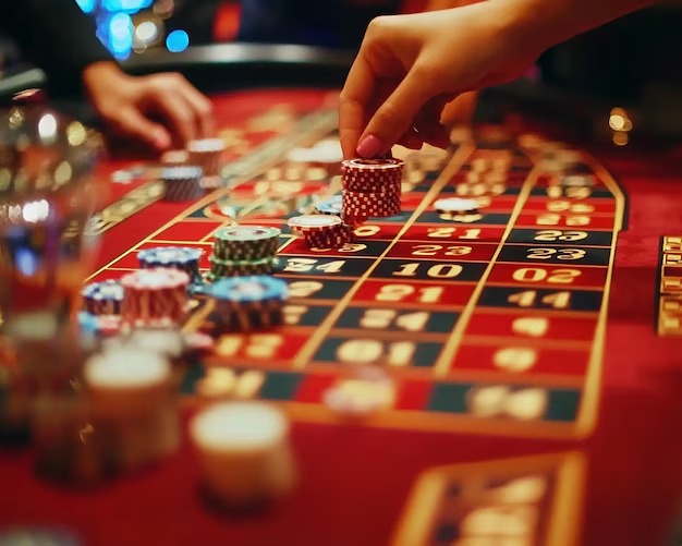 stray platform dashboard showing sportsbook, live dealer, and slots sections